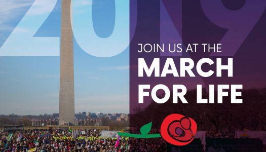 Join a bus trip leaving from CT to the March for Life January 17th-18th!