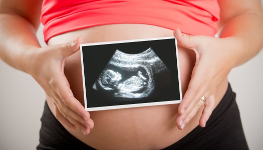 Connecticut’s Surrogate Baby Boom